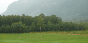 Pürgschacher Moor mit Erlebnisweg